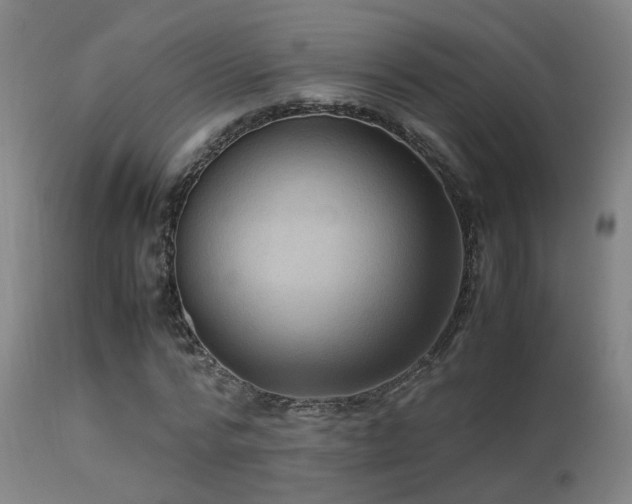 X0000113290776200909211103