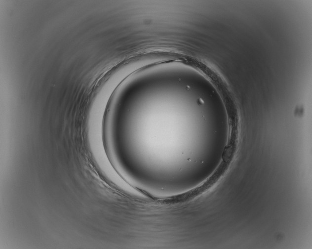 X0000113290777200909211103