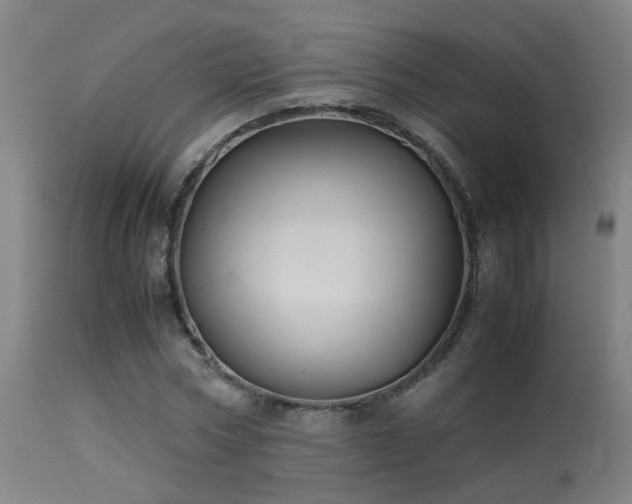 X0000113290778200909211103