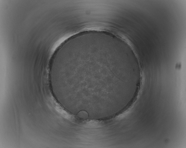 X0000113290779200909211103