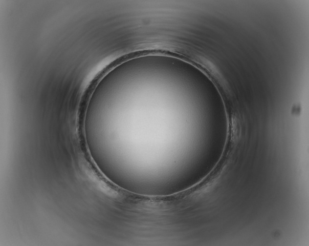 X0000113290780200909211102