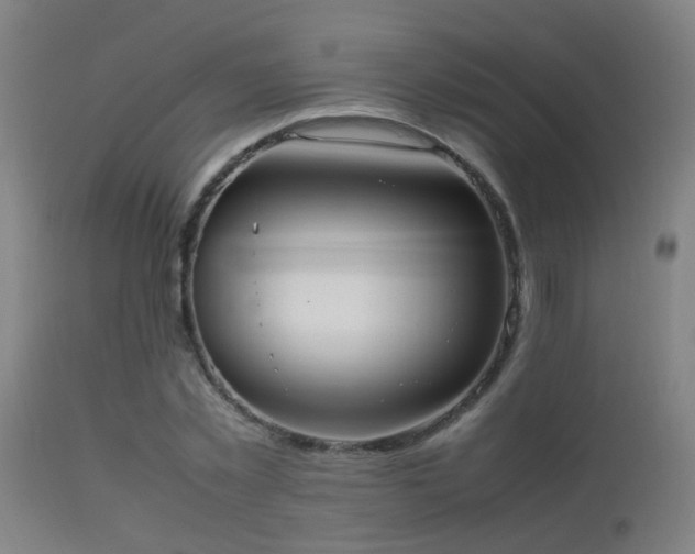 X0000113290781200909211102