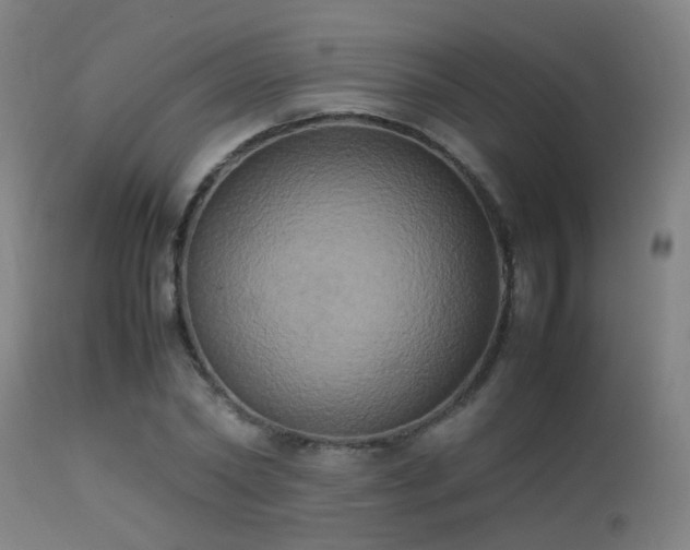 X0000113290782200909211102