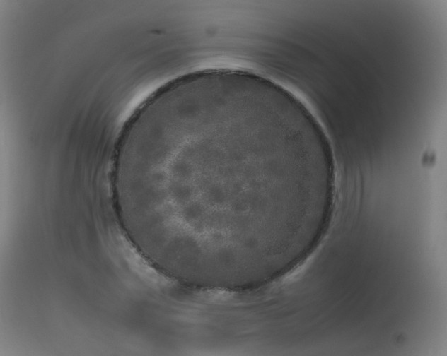 X0000113290783200909211102