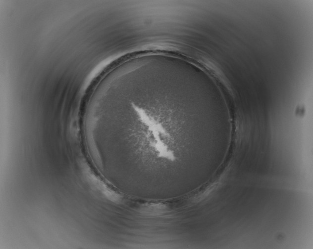 X0000113290784200909211102