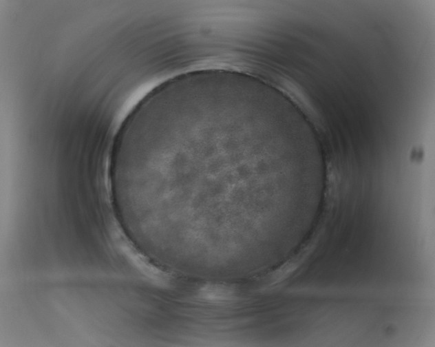 X0000113290788200909211102