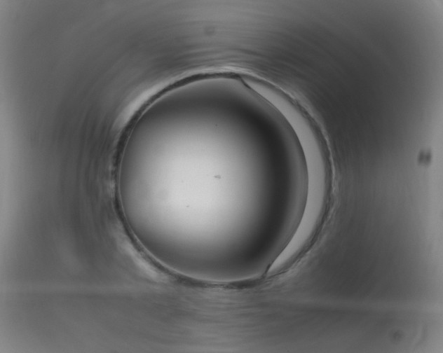 X0000113290789200909211102