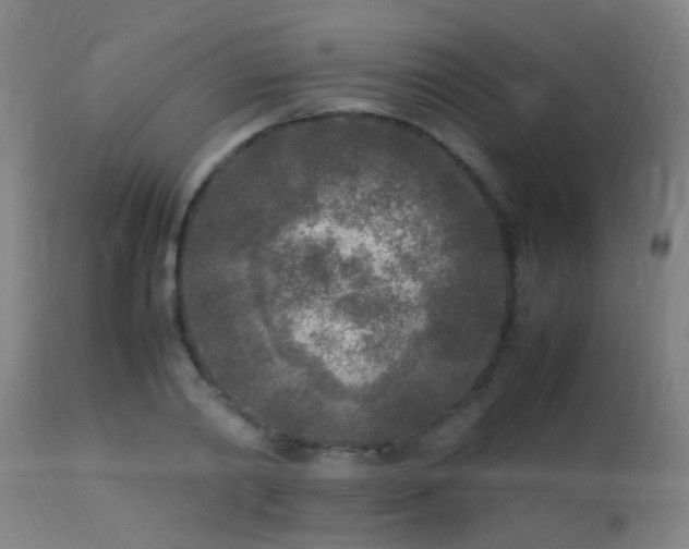 X0000113290790200909211102