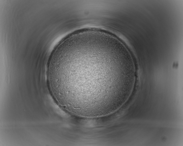 X0000113290791200909211102