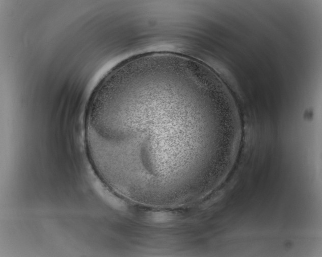 X0000113290792200909211102