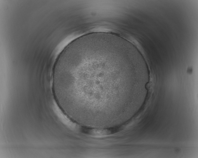 X0000113290795200909211102