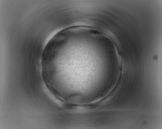 X0000113290796200909211102