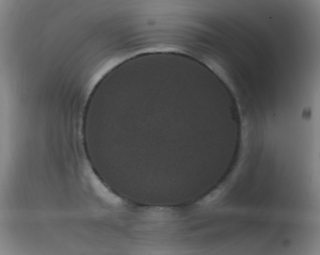 X0000113290797200909211102