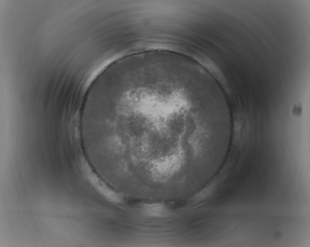 X0000113290798200909211102