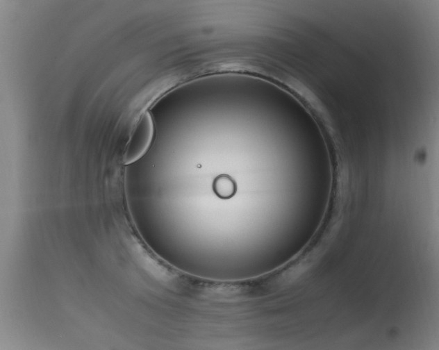 X0000113290801200909211102