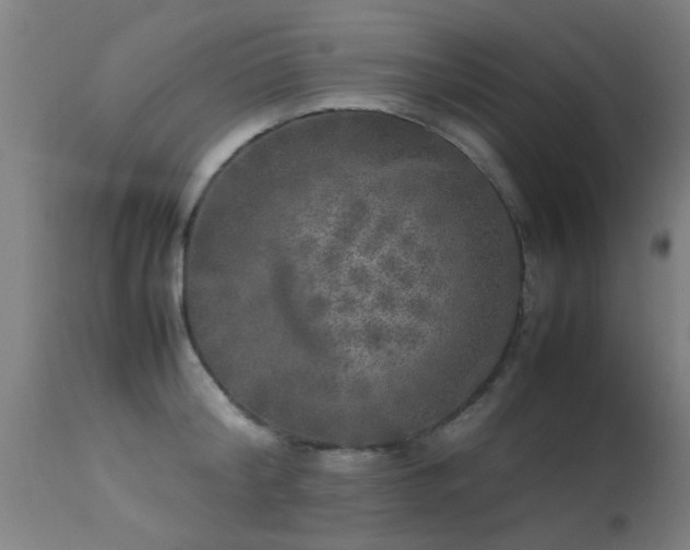 X0000113290804200909211102