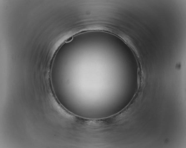 X0000113290805200909211102