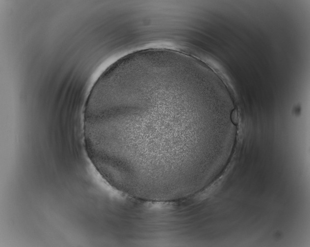 X0000113290808200909211102