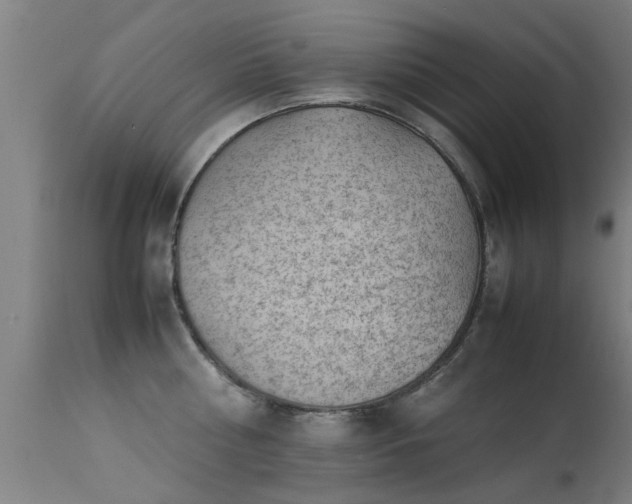 X0000113290810200909211102