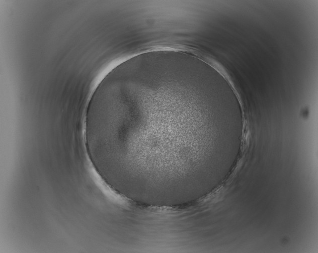 X0000113290811200909211102