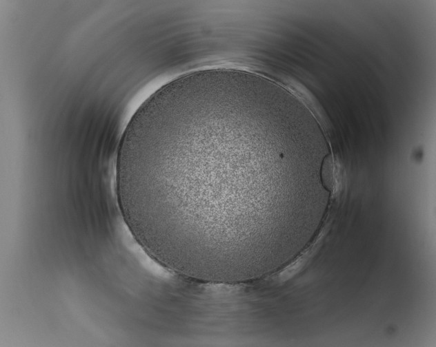 X0000113290812200909211102