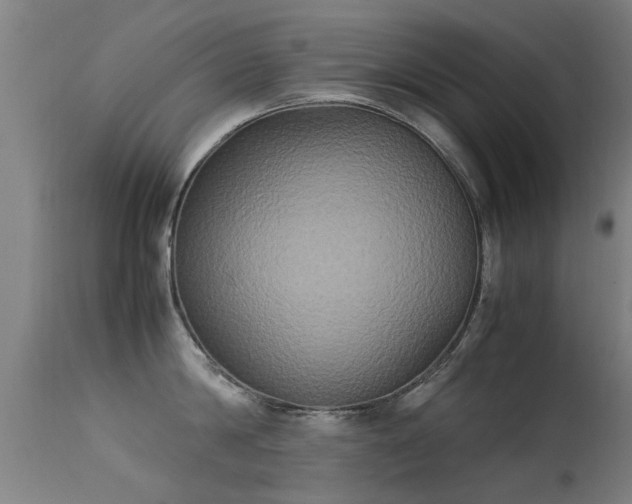 X0000113290814200909211102