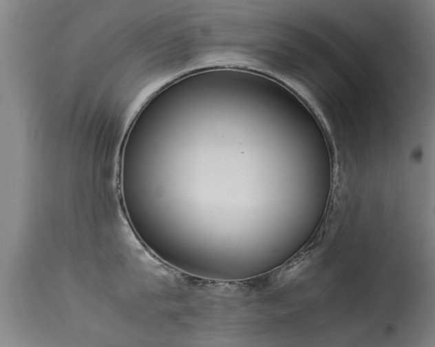 X0000113290815200909211102