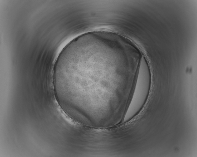 X0000113290816200909211102