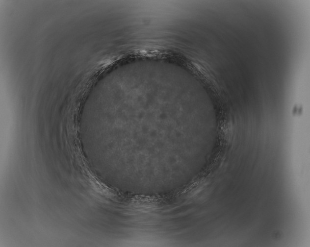 X0000113290817200909211101