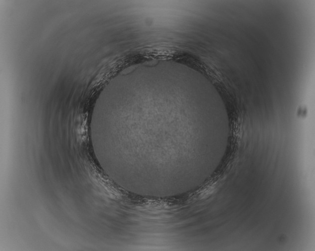 X0000113290818200909211101