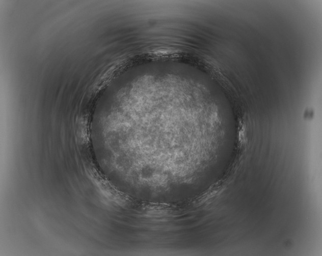 X0000113290819200909211101