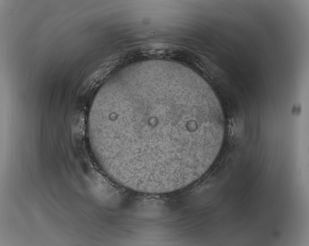 X0000113290820200909211101