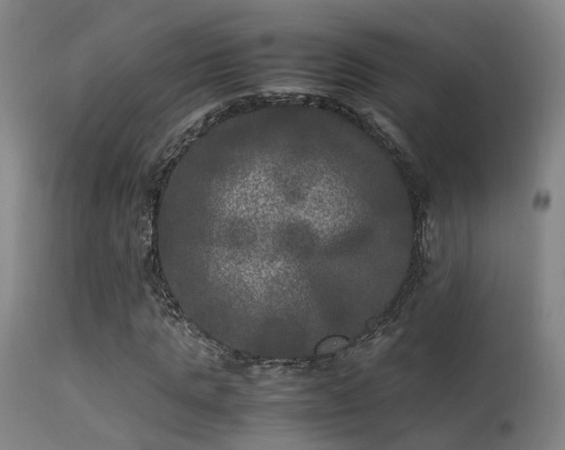 X0000113290821200909211101