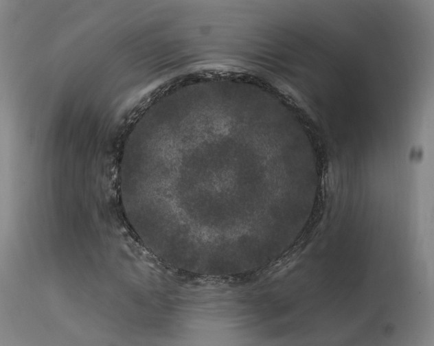 X0000113290822200909211101