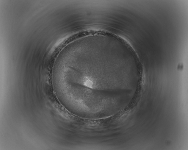 X0000113290823200909211101