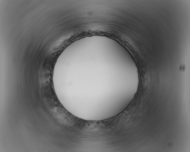 X0000113290824200909211101