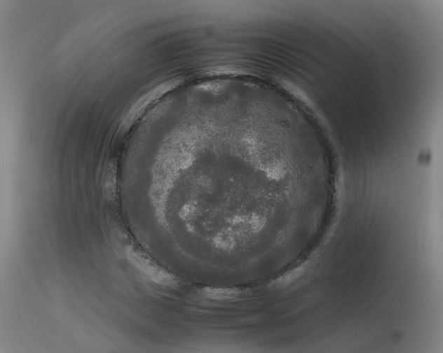 X0000113290825200909211101