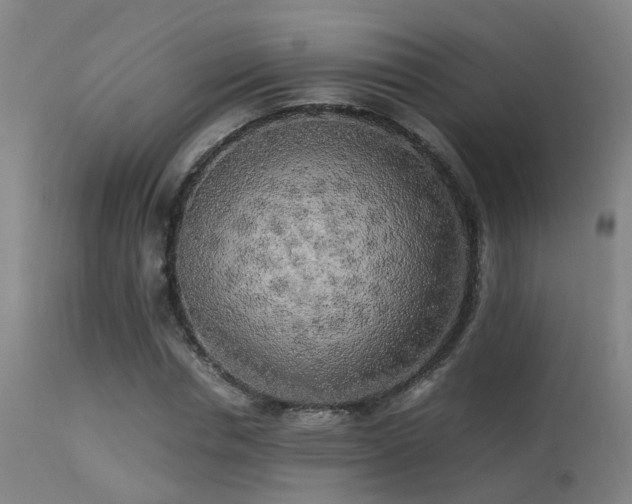 X0000113290826200909211101