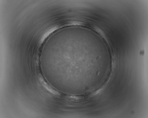 X0000113290827200909211101