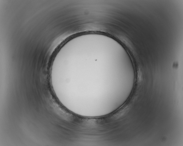 X0000113290828200909211101