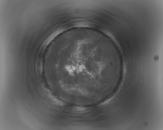 X0000113290829200909211101