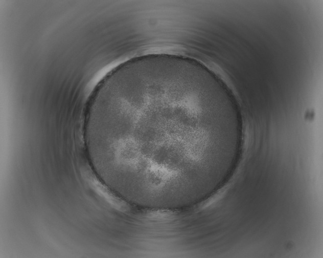 X0000113290830200909211101