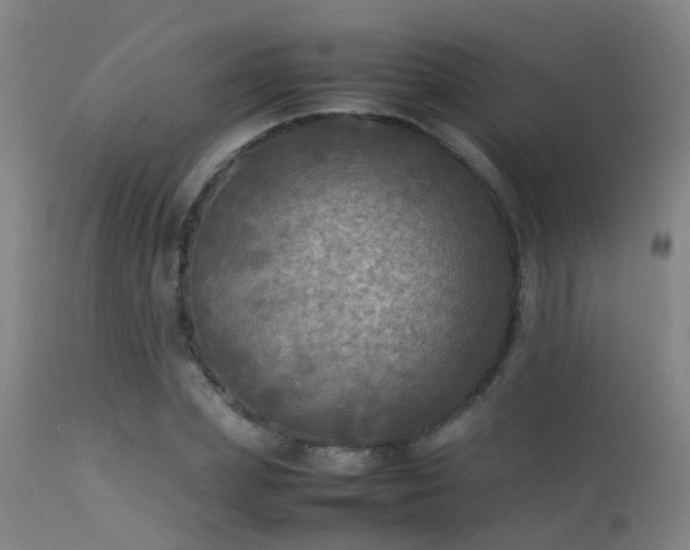 X0000113290831200909211101