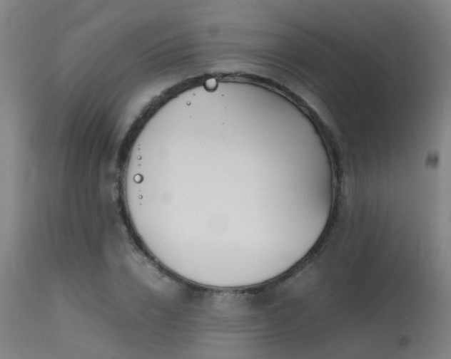 X0000113290832200909211101