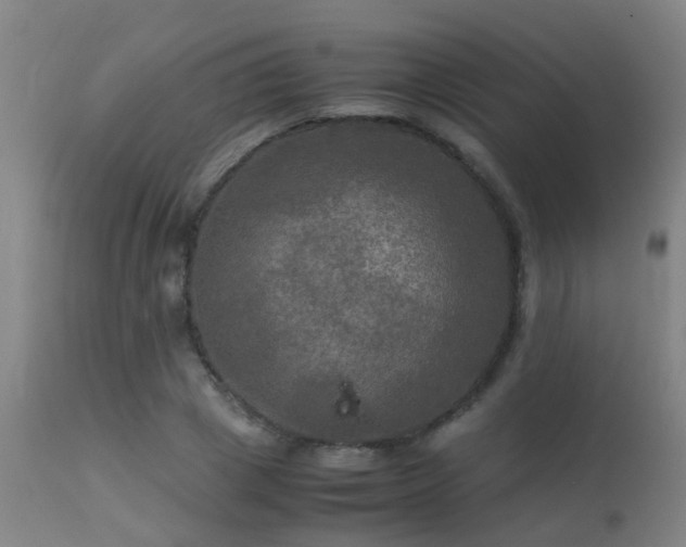 X0000113290833200909211102