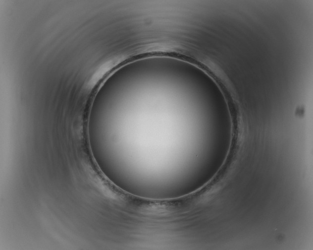 X0000113290834200909211102