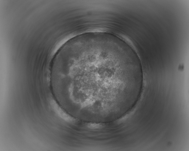 X0000113290835200909211102