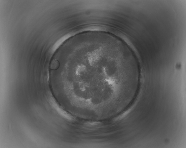 X0000113290837200909211102