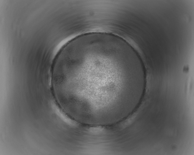 X0000113290838200909211102