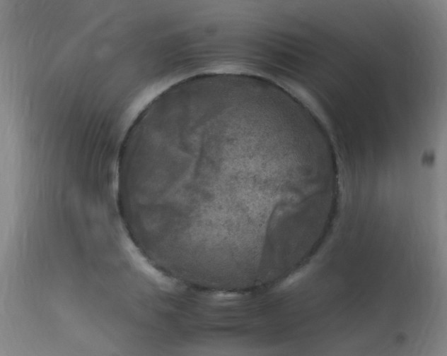 X0000113290839200909211102